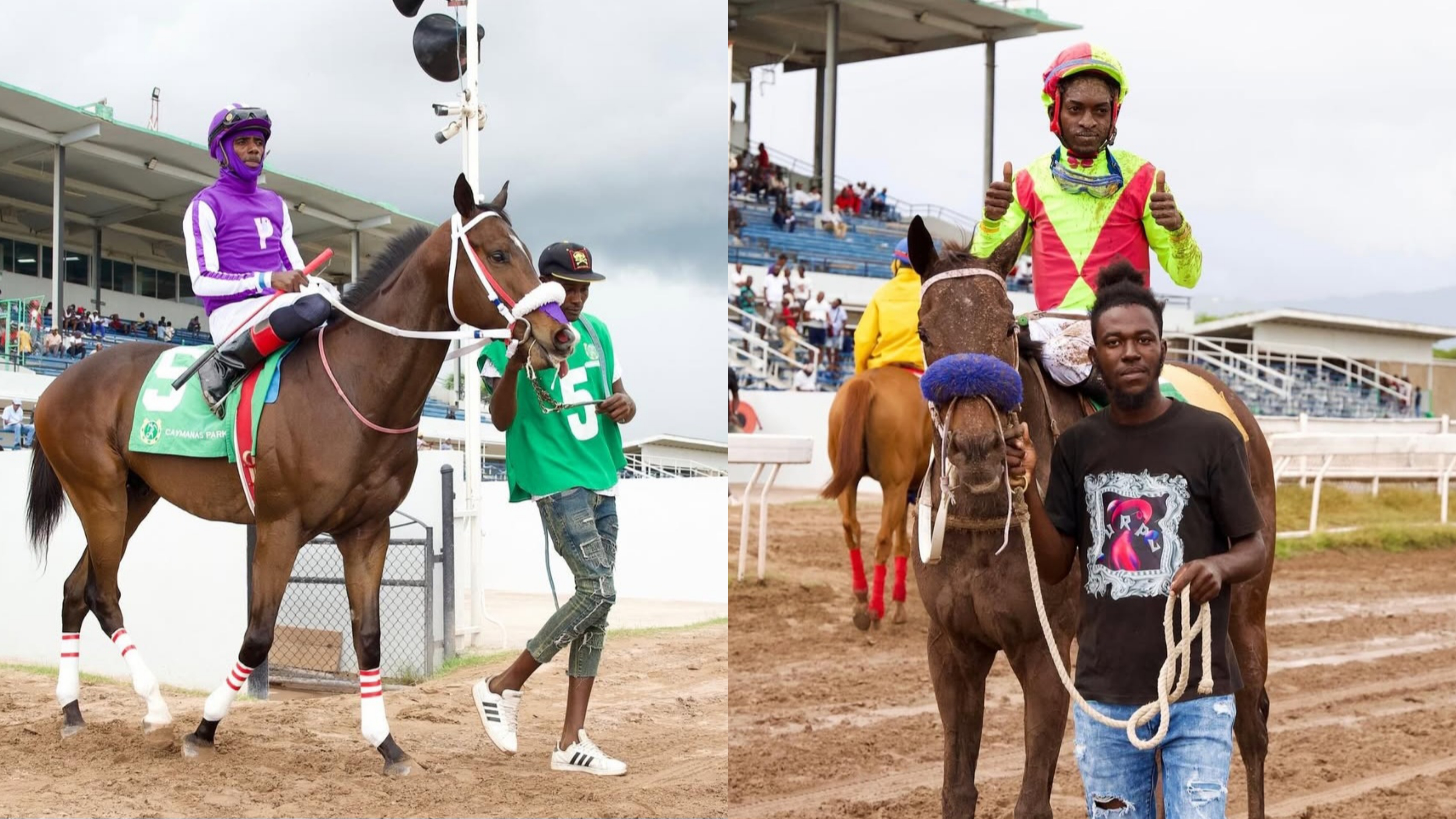 Honour Prince, Hansa cop Prince Consort, Thornbird Stakes in contrasting fashion