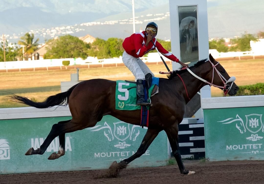 Divine Force delivers mighty upset in Yvonne Mattis Cup at Caymanas Park